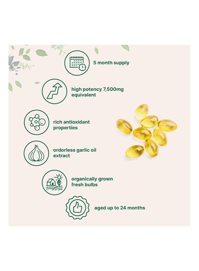 Odorless Garlic 7500mg Per Servings, 300 Softgels | 2 Years Aged Garlic Extract, Grown Allium Sativum Bulb | Potent Antioxidant Supplement, Immune Support, and Heart Health - Image 2